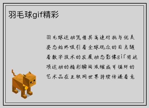 羽毛球gif精彩