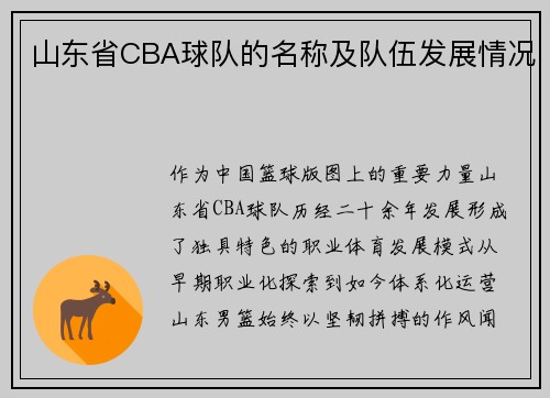 山东省CBA球队的名称及队伍发展情况